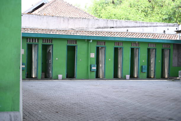 Best Sanitation services for porta potties  in Triana, AL